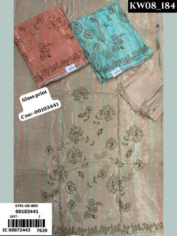 Retro Floral Revival Punjabi Suit _152