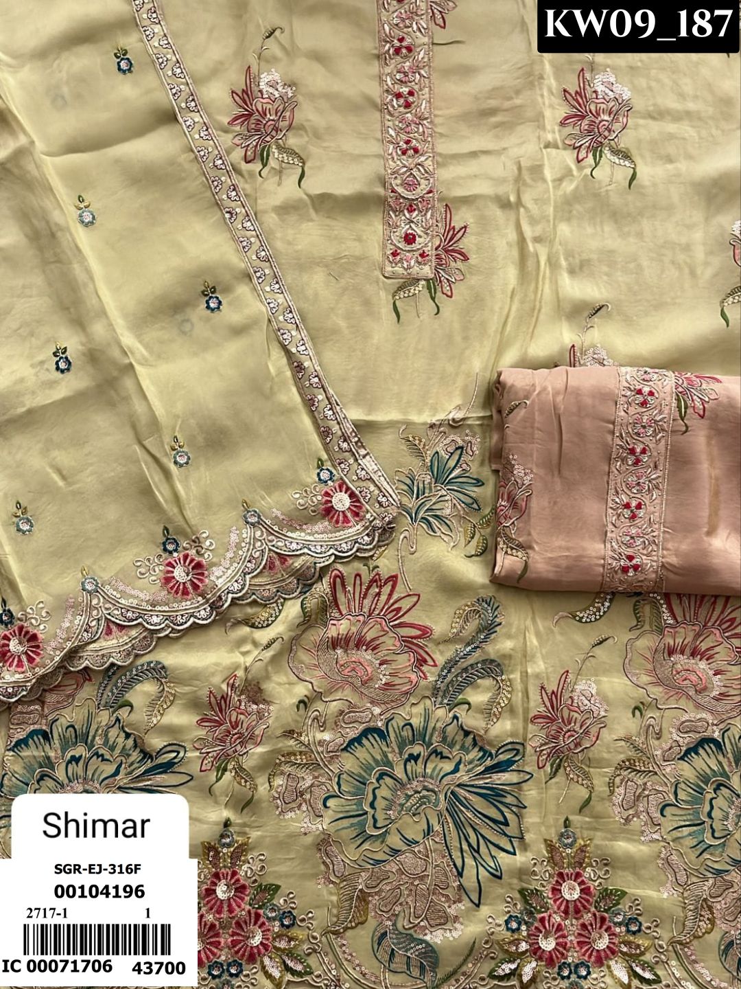 Ethnic Elegance _246