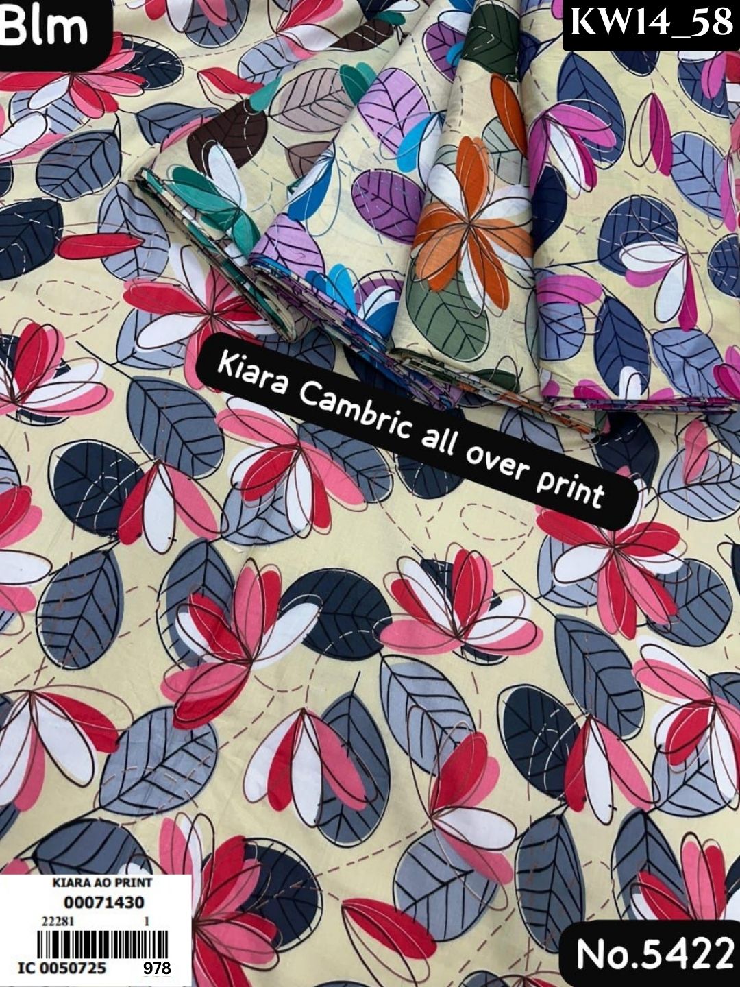 Kiara _58